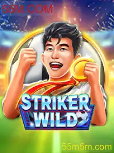 Explorando o Universo de StrikerWILD